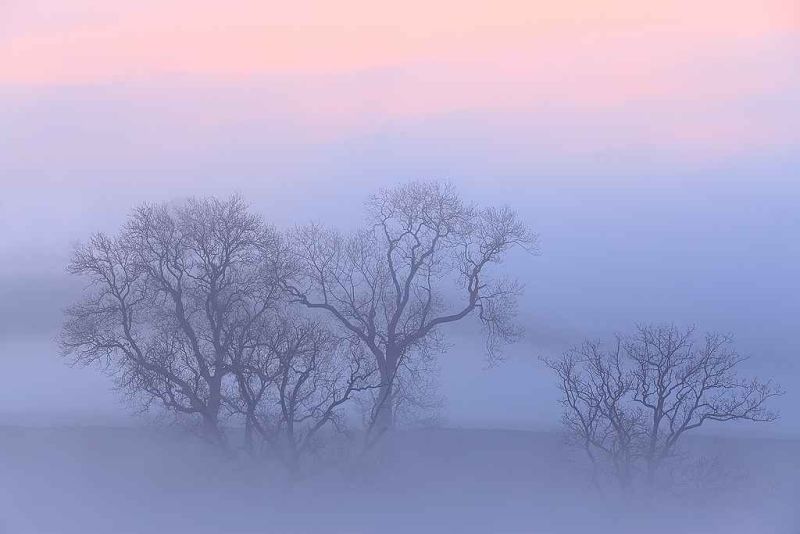 airton sunrise & mist.jpg